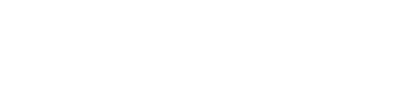 ZN